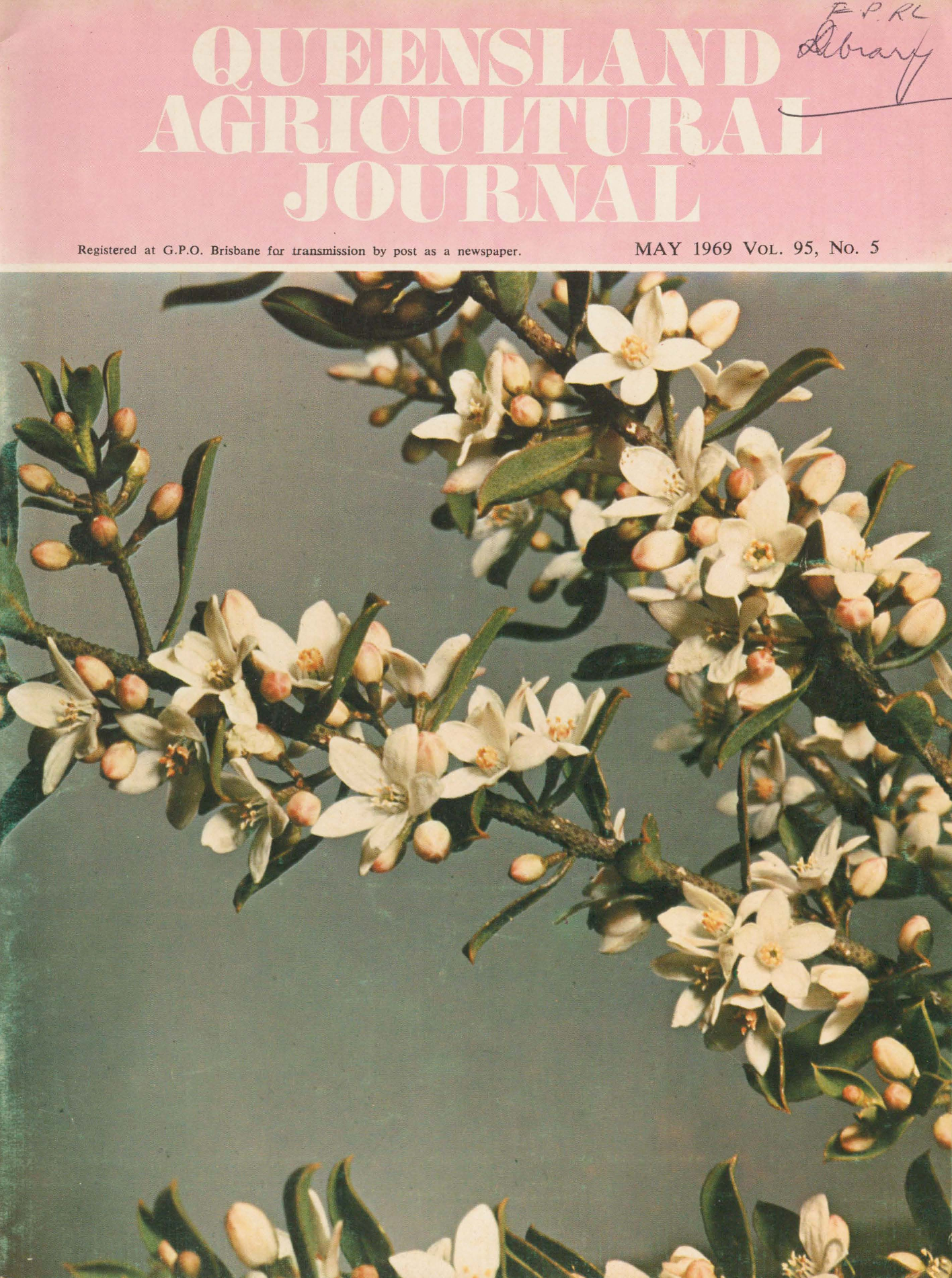 Queensland Agricultural Journal - May 1969