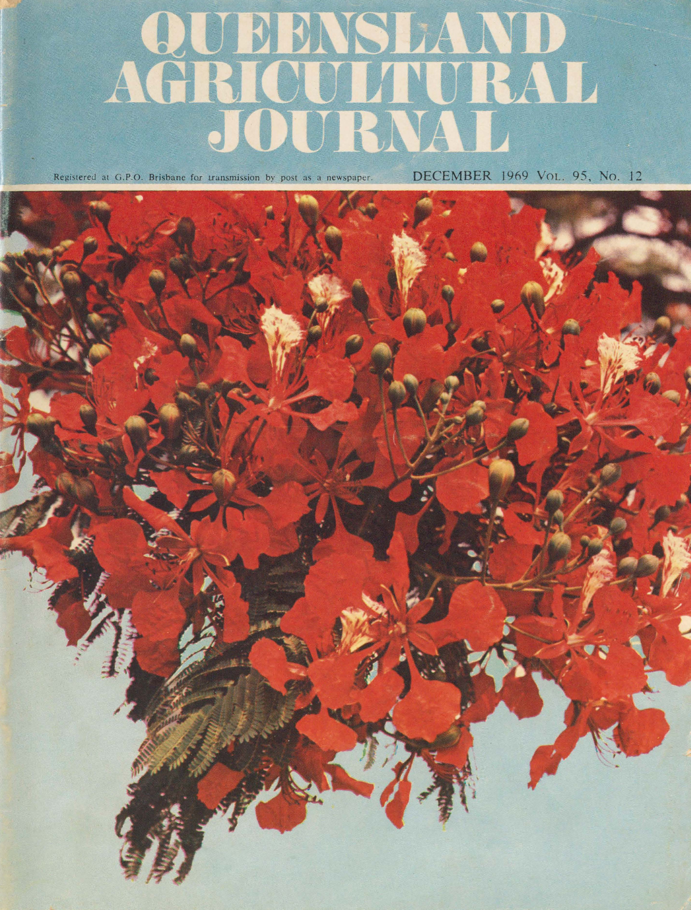 Queensland Agricultural Journal - December 1969