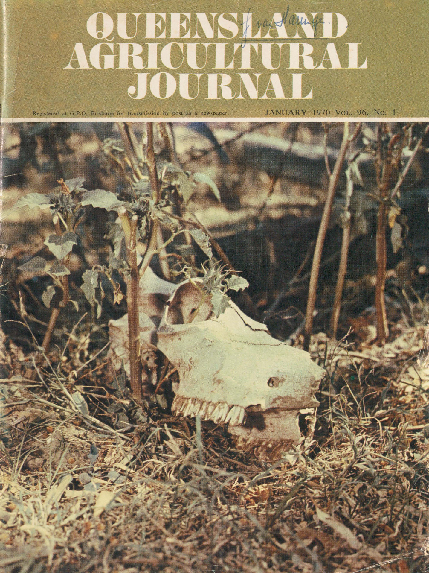 Queensland Agricultural Journal - January 1970