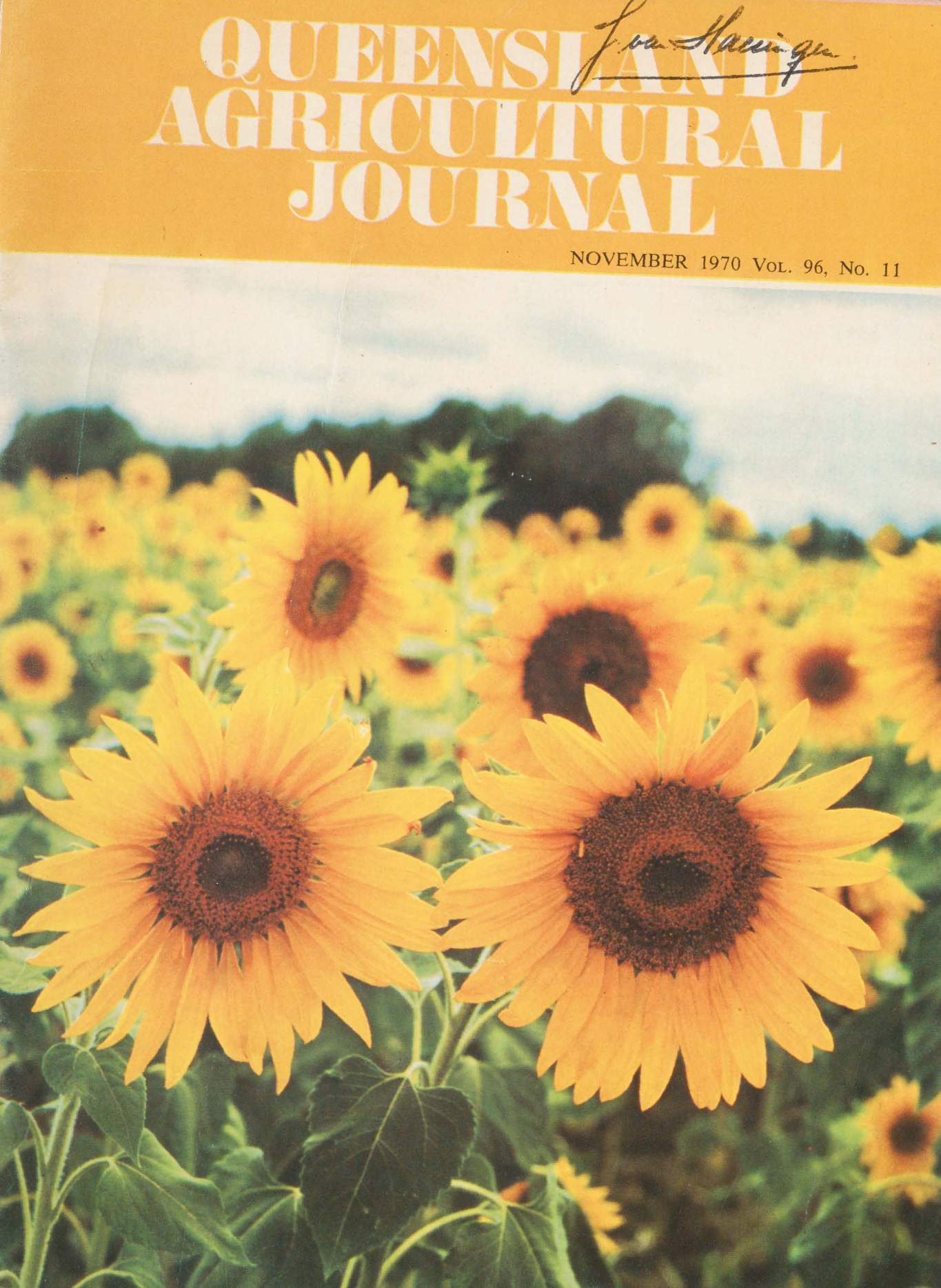Queensland Agricultural Journal - November 1970