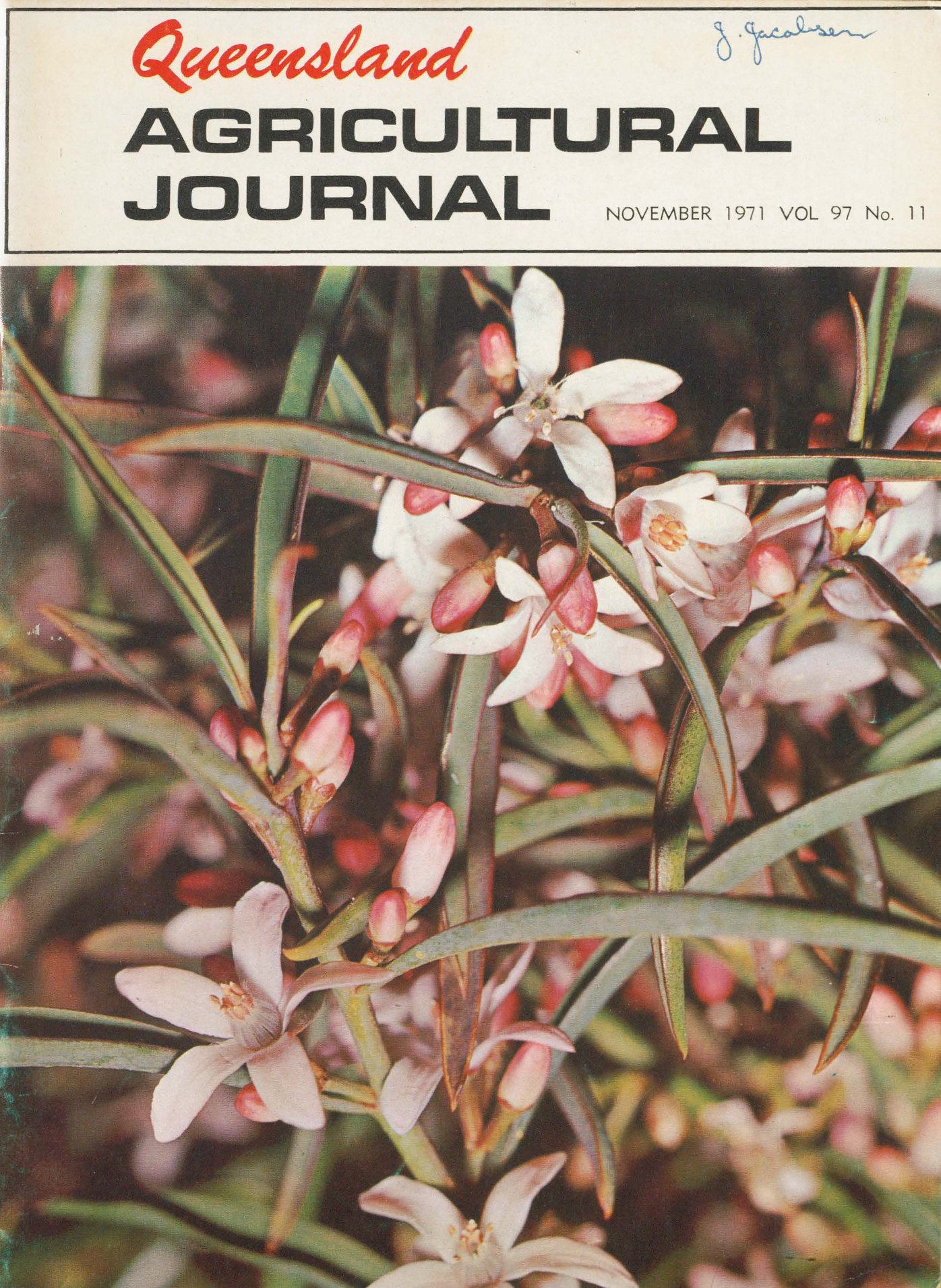 Queensland Agricultural Journal - November 1971