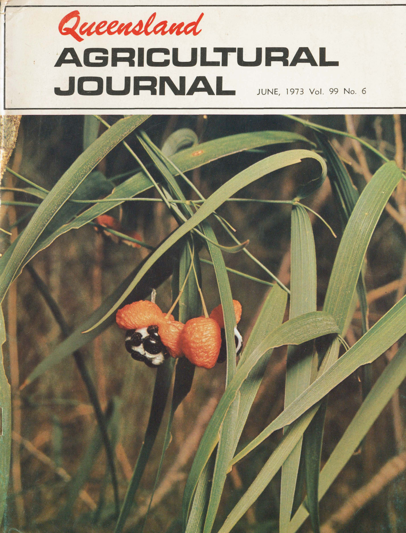 Queensland Agricultural Journal - June 1973