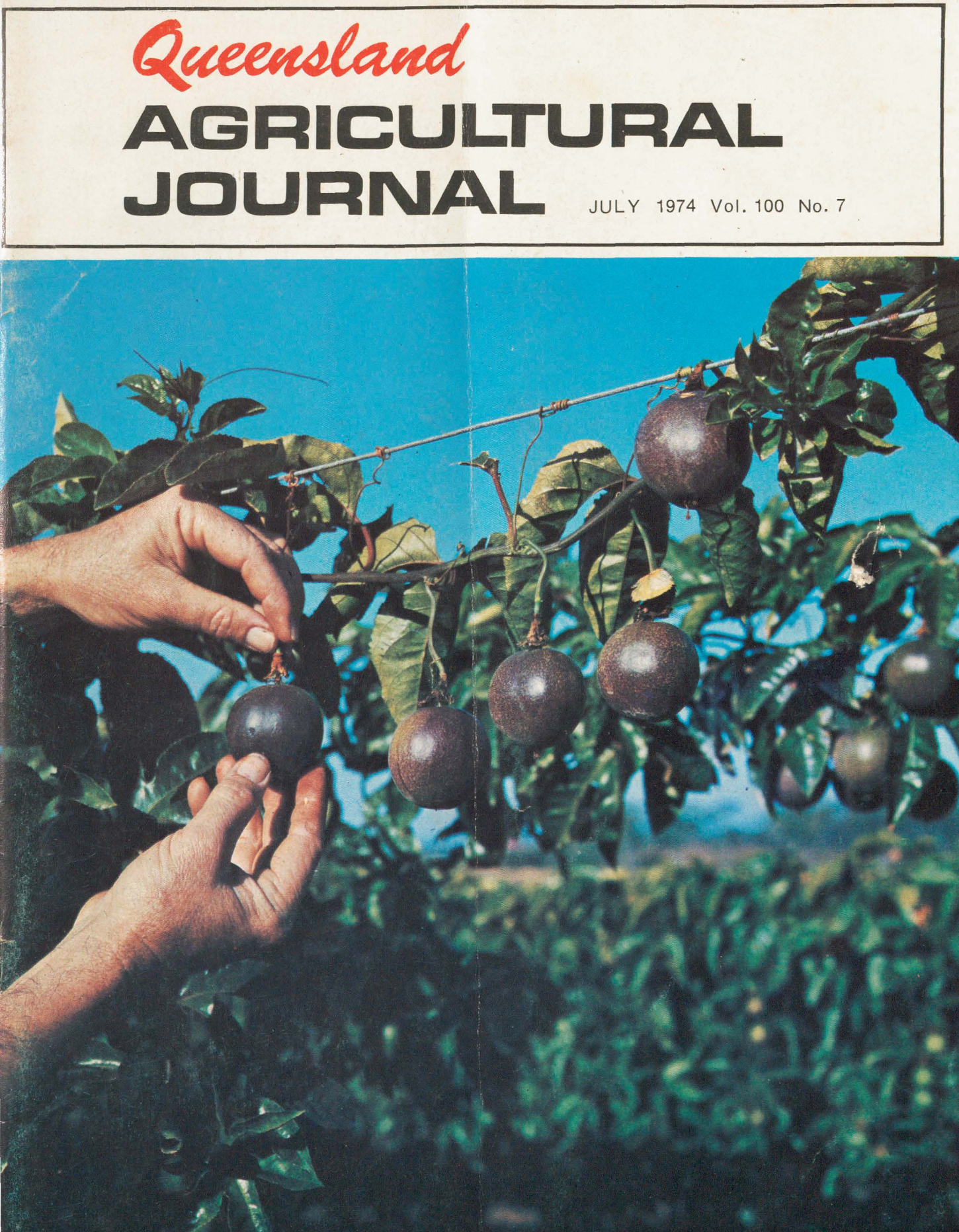 Queensland Agricultural Journal - July 1974
