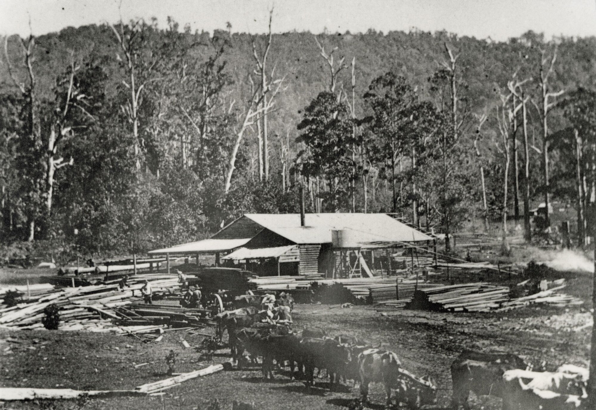 Nonmus Sawmill, ca. 1890s