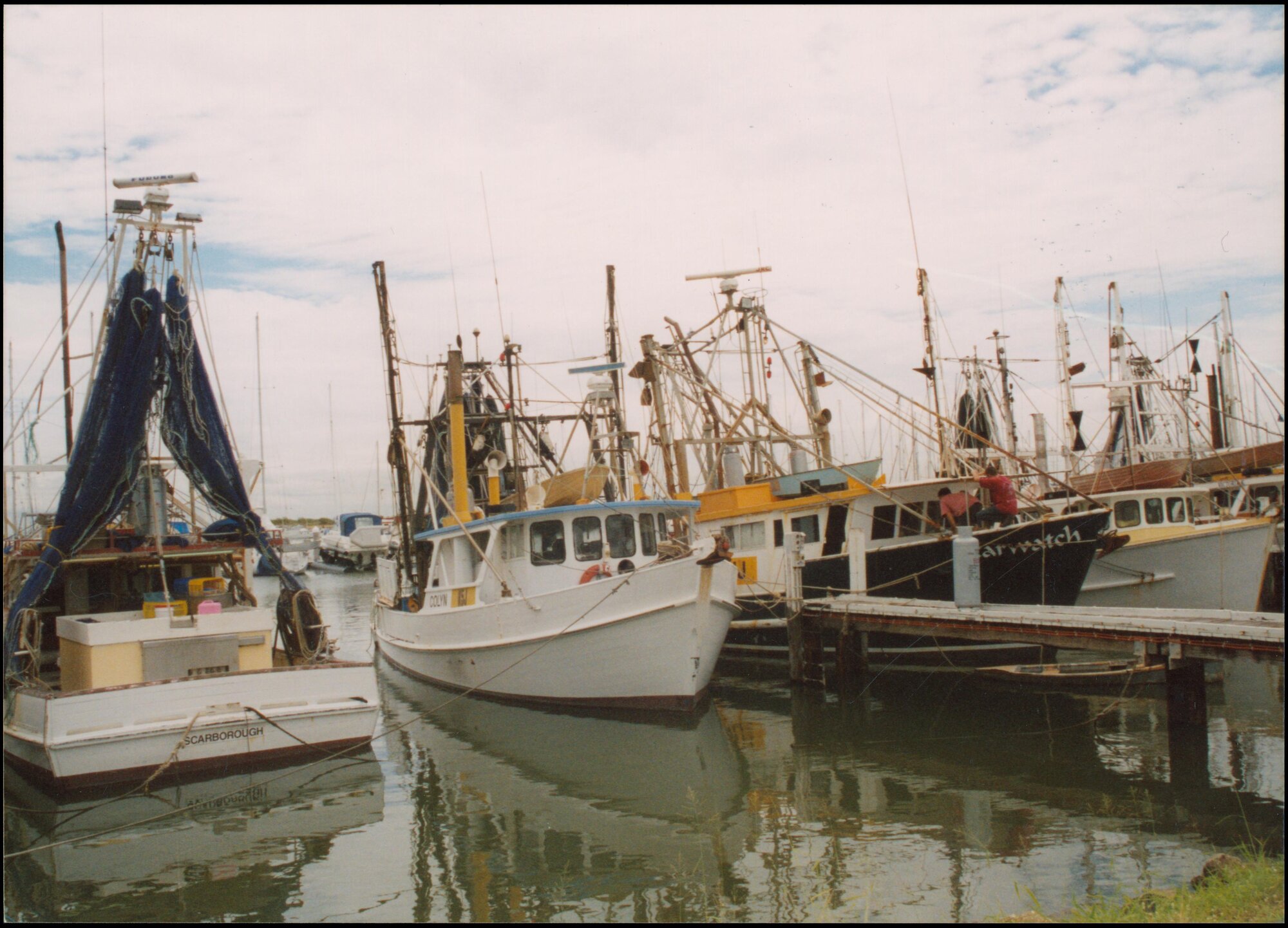 Fishing trawlers in Boat Harbour