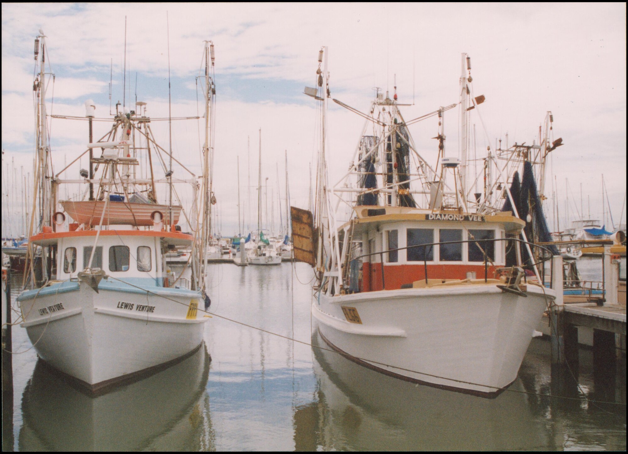 Fishing trawlers in Boat Harbour - 'Lewis Venture' and 'Diamond Vee'