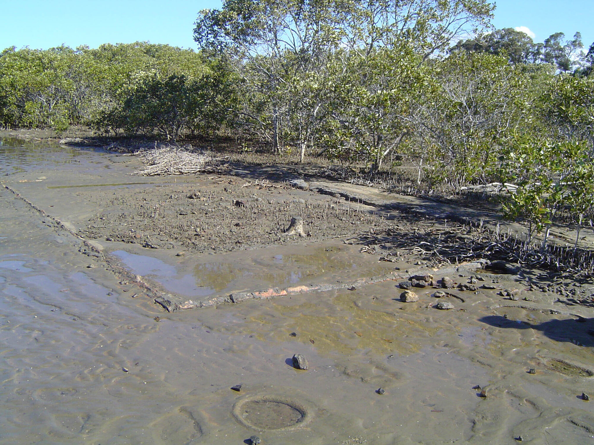 Bancroft Baths - 2004 archaeological study - site 1