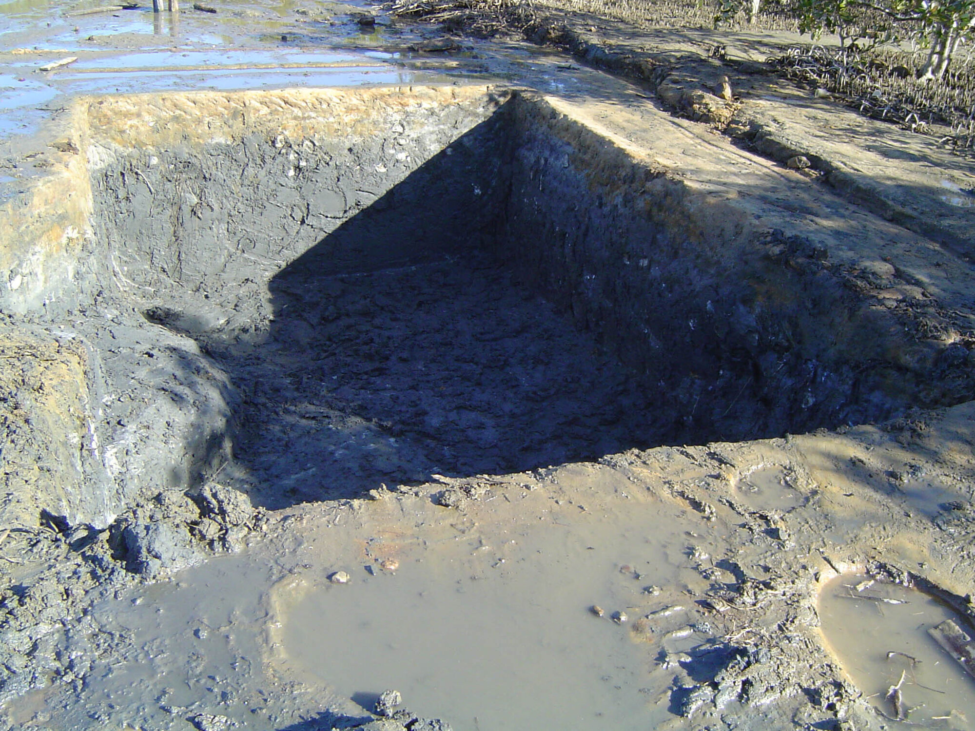 Bancroft Baths - 2004 archaeological study - site 1 