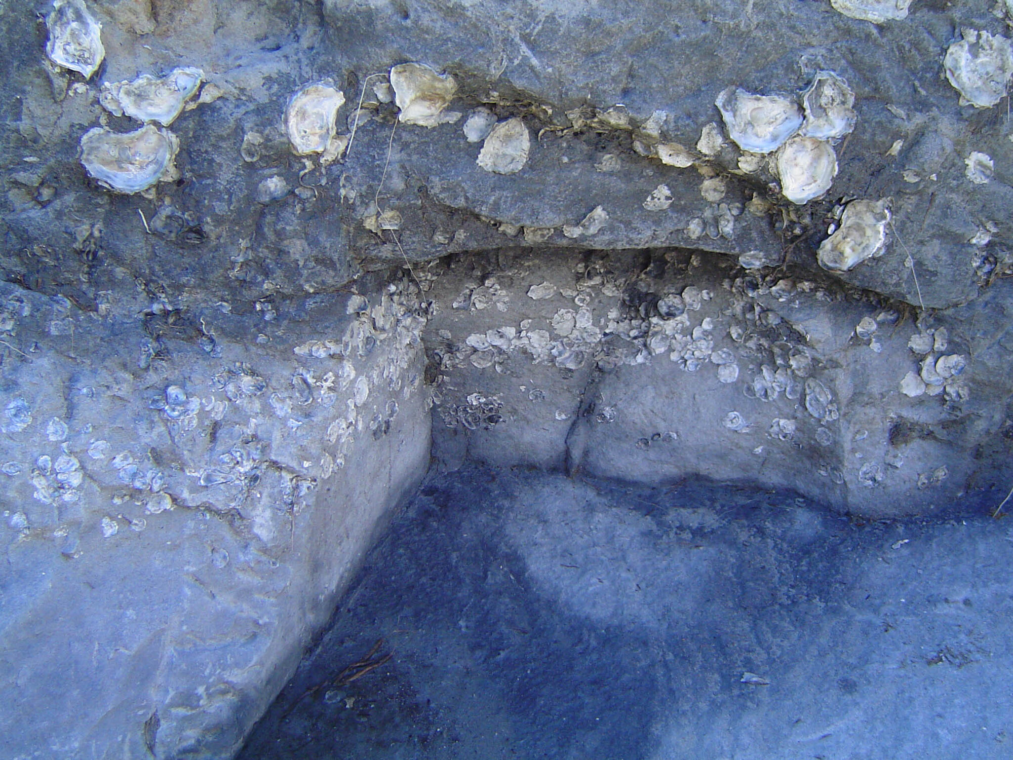 Bancroft Baths - 2004 archaeological study - site 1 