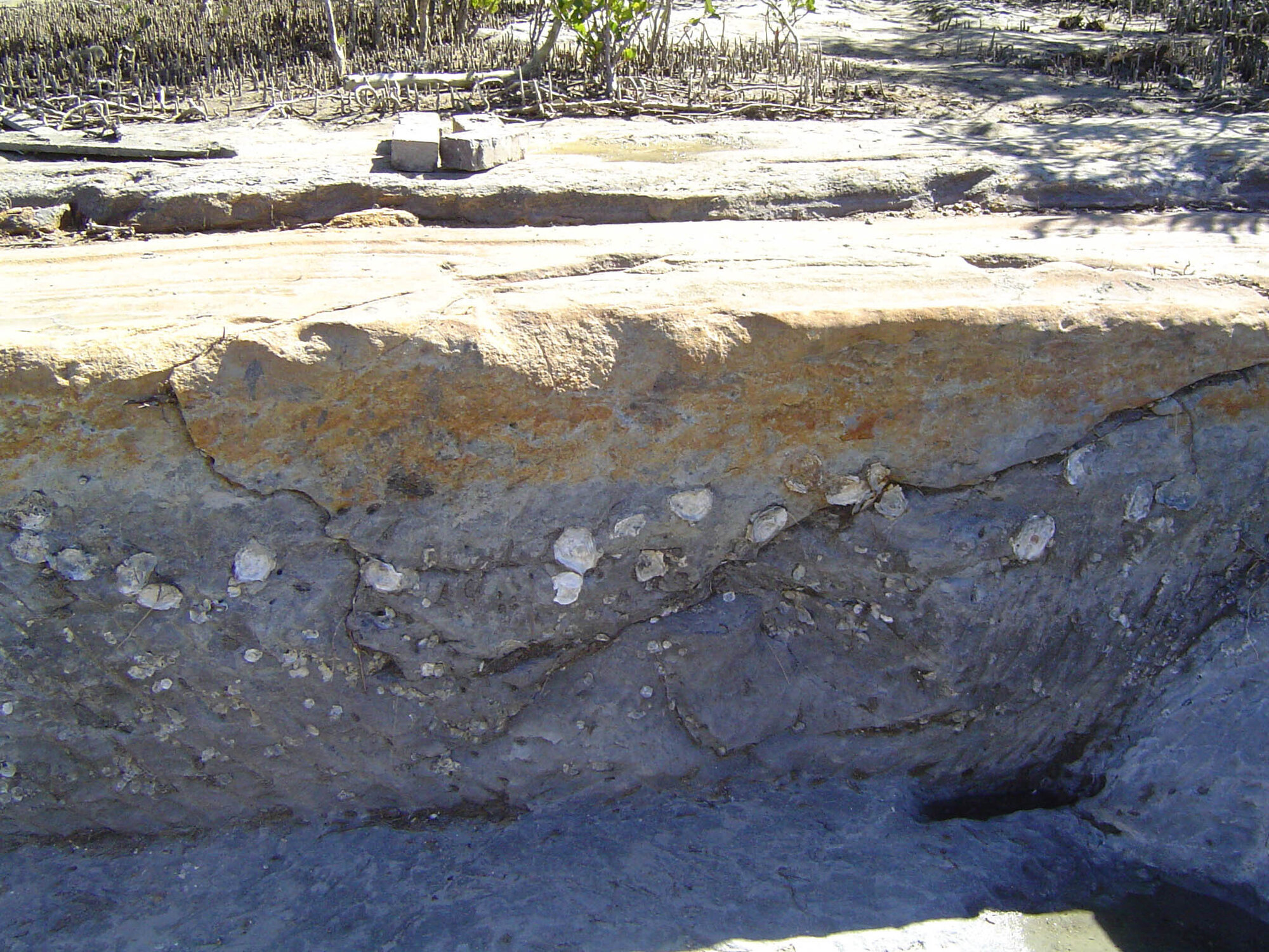 Bancroft Baths - 2004 archaeological study - site 1