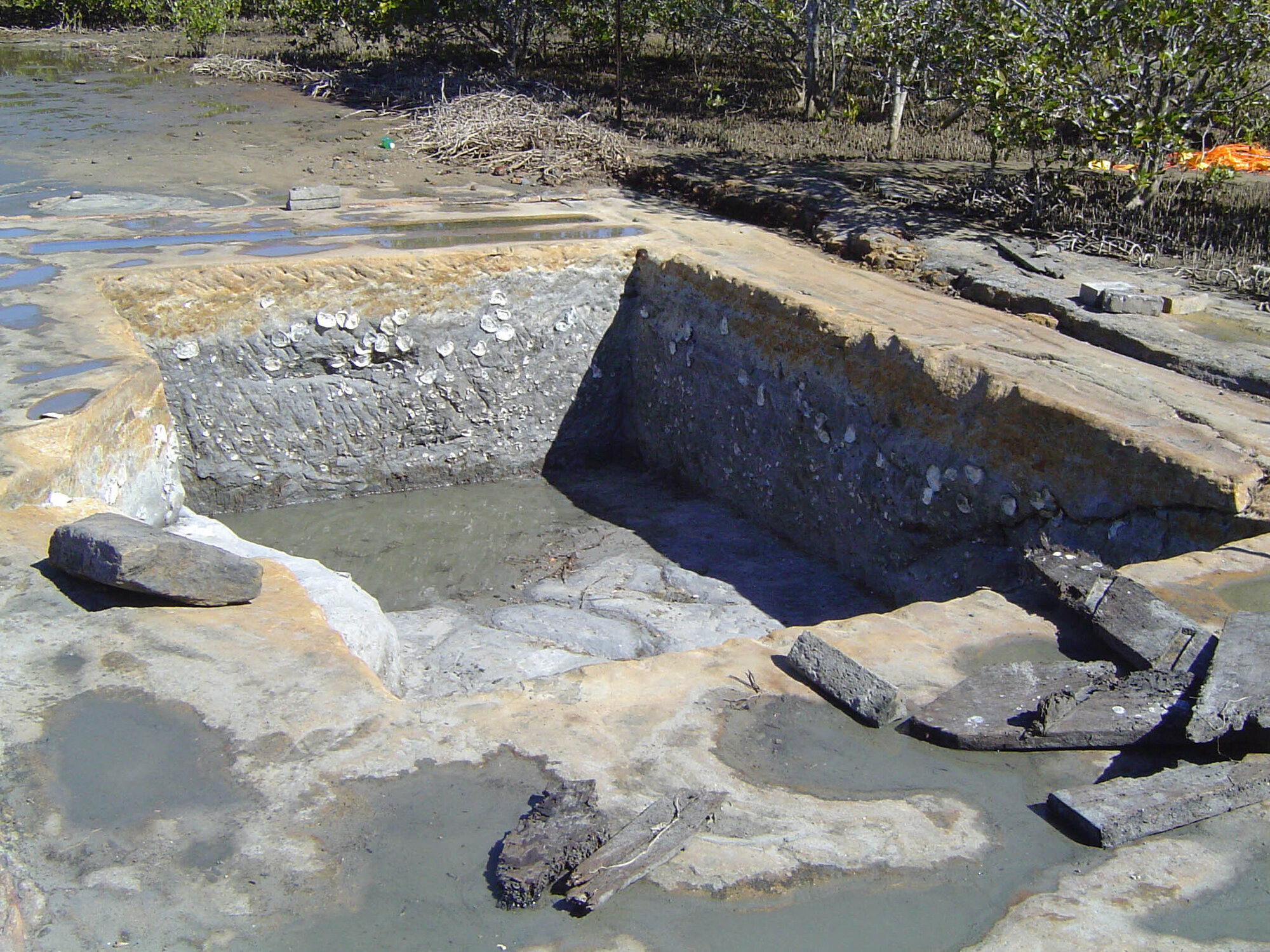 Bancroft Baths - 2004 archaeological study - site 1