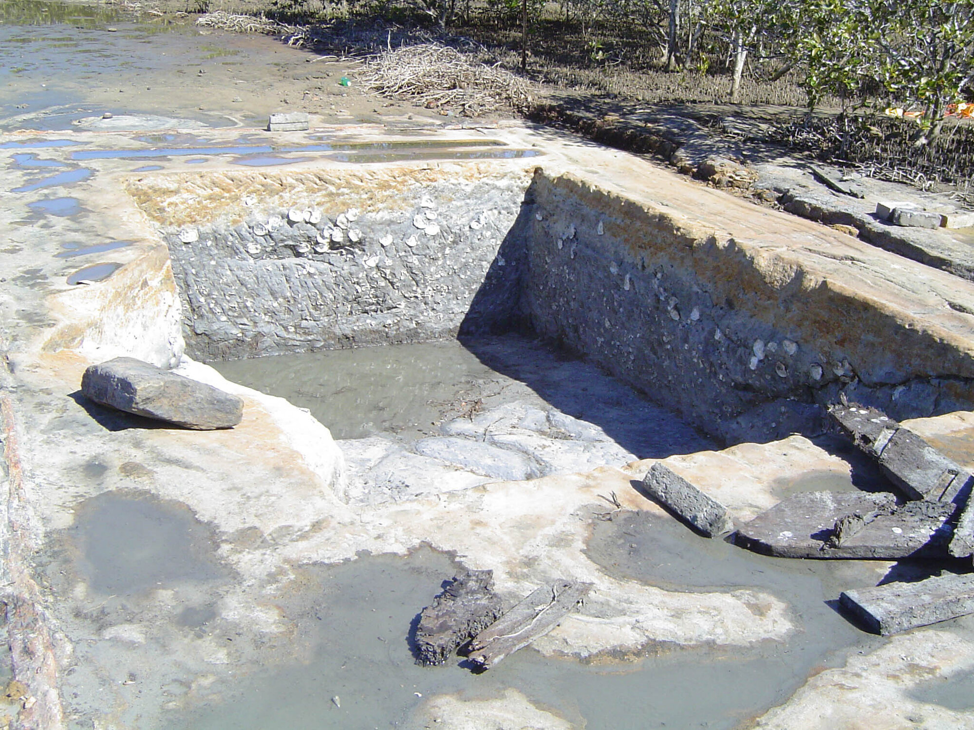 Bancroft Baths - 2004 archaeological study - site 1 