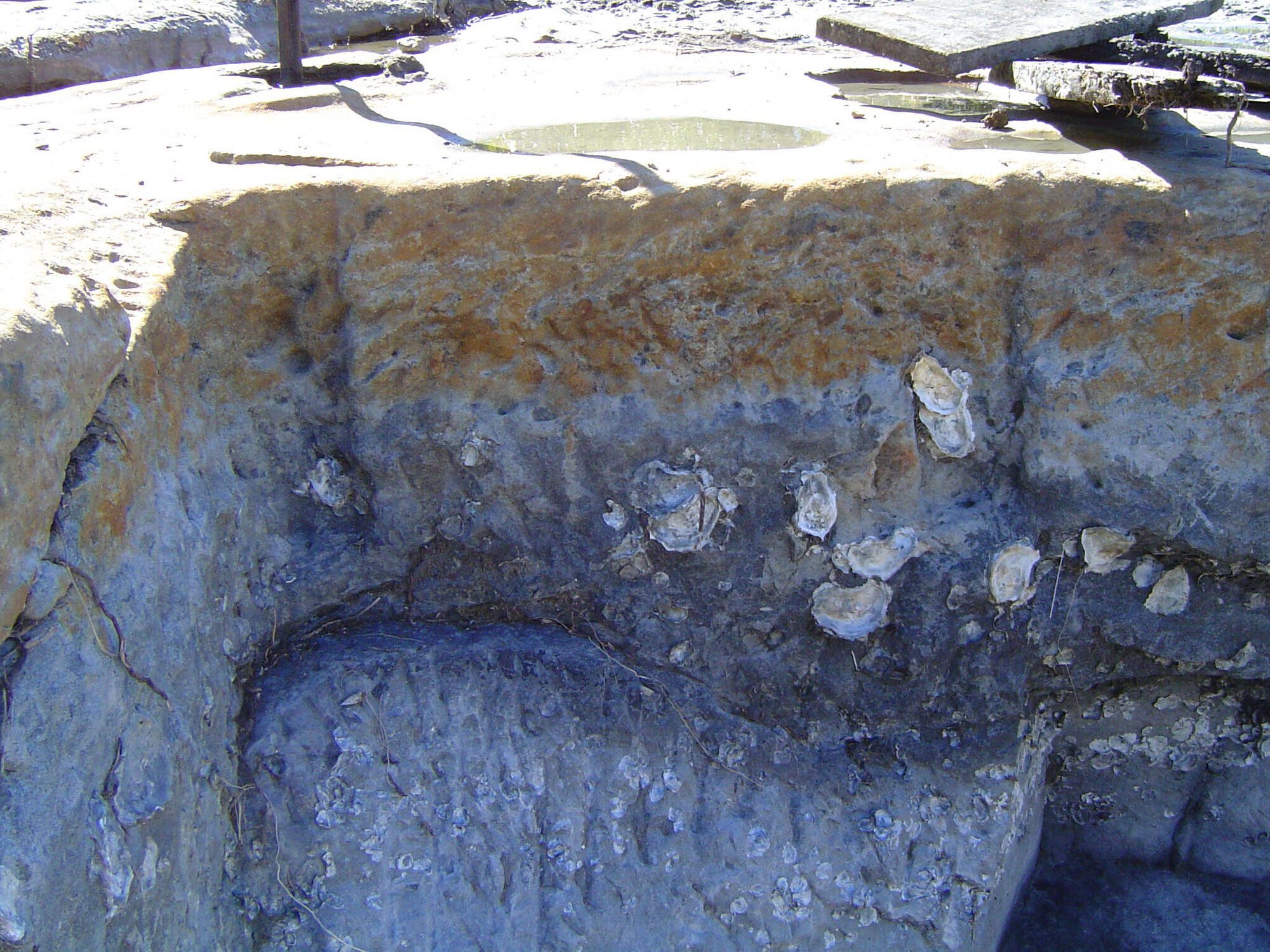 Bancroft Baths - 2004 archaeological study - site 1