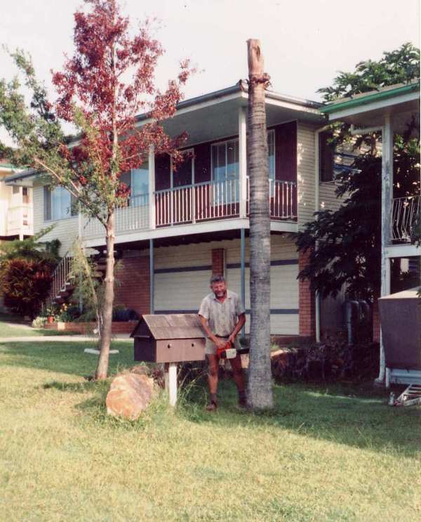 Lightning Struck the Palm Tree Trevor Cutting it Down