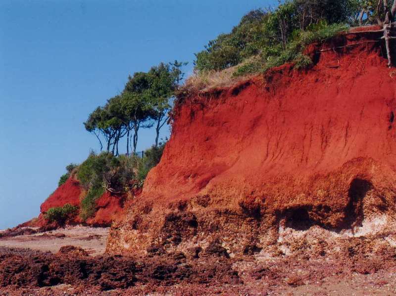 Red Cliffs at Scarborough