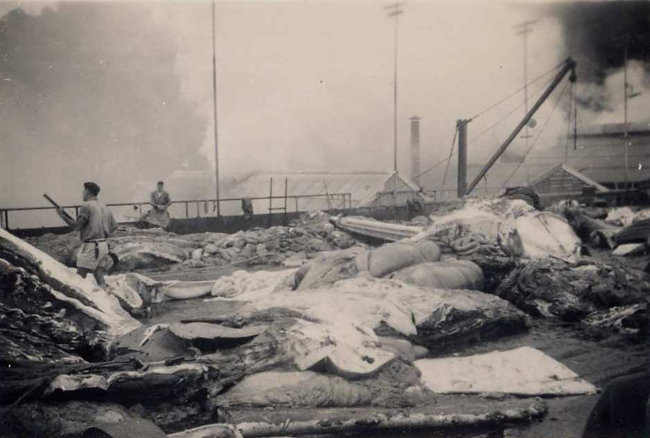 Tangalooma Whaling Station - 3