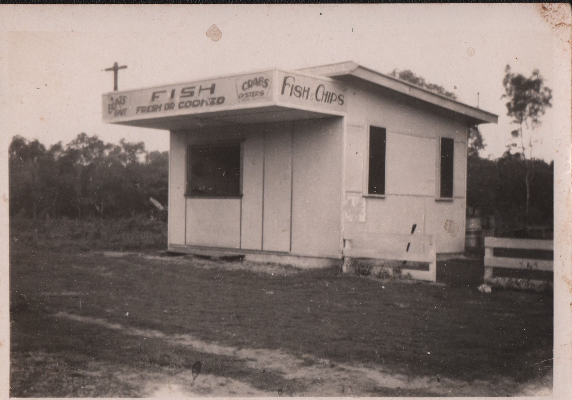 Rose family - Fish and Chip Shop