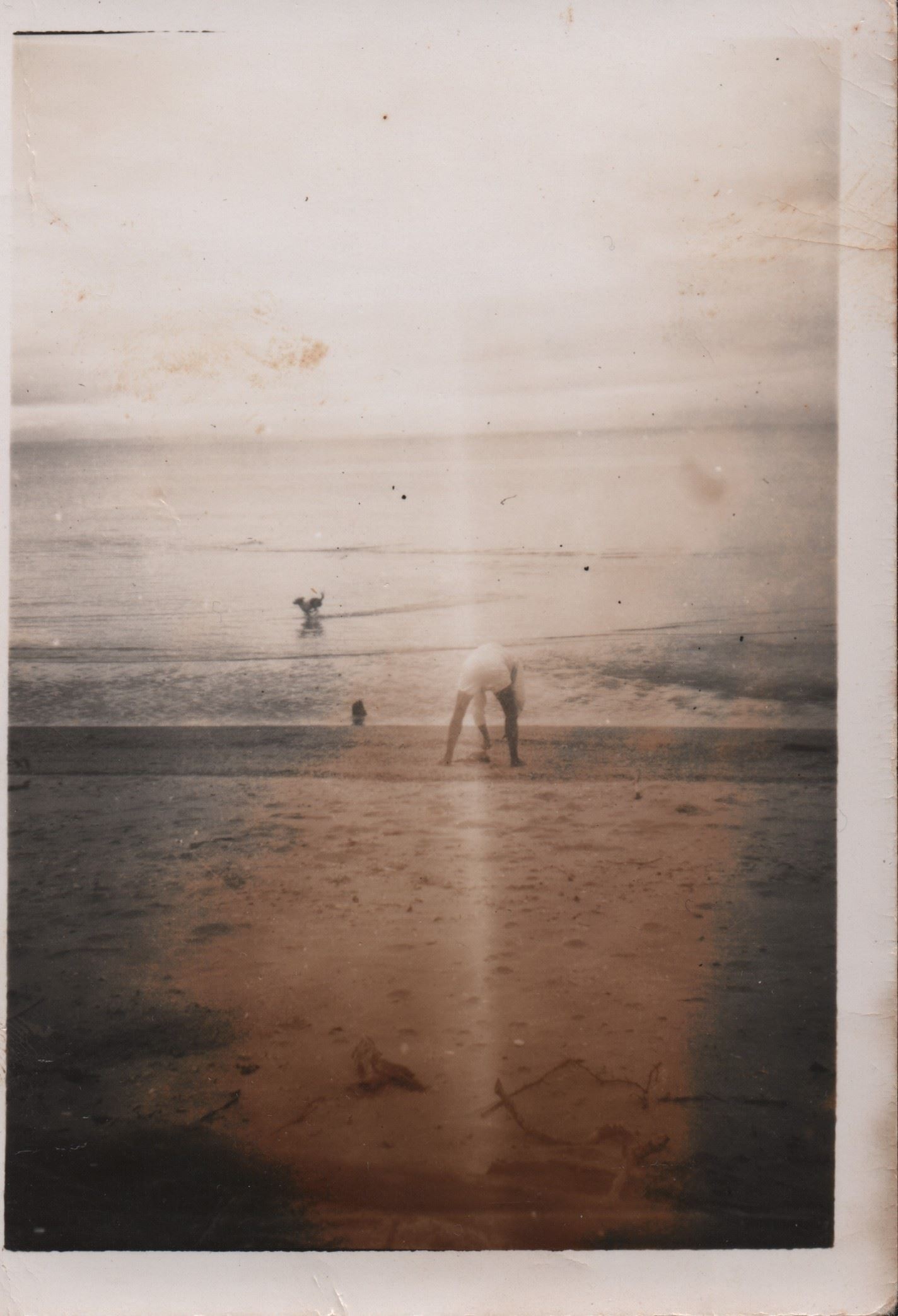 Alex Rose and Salty the dog