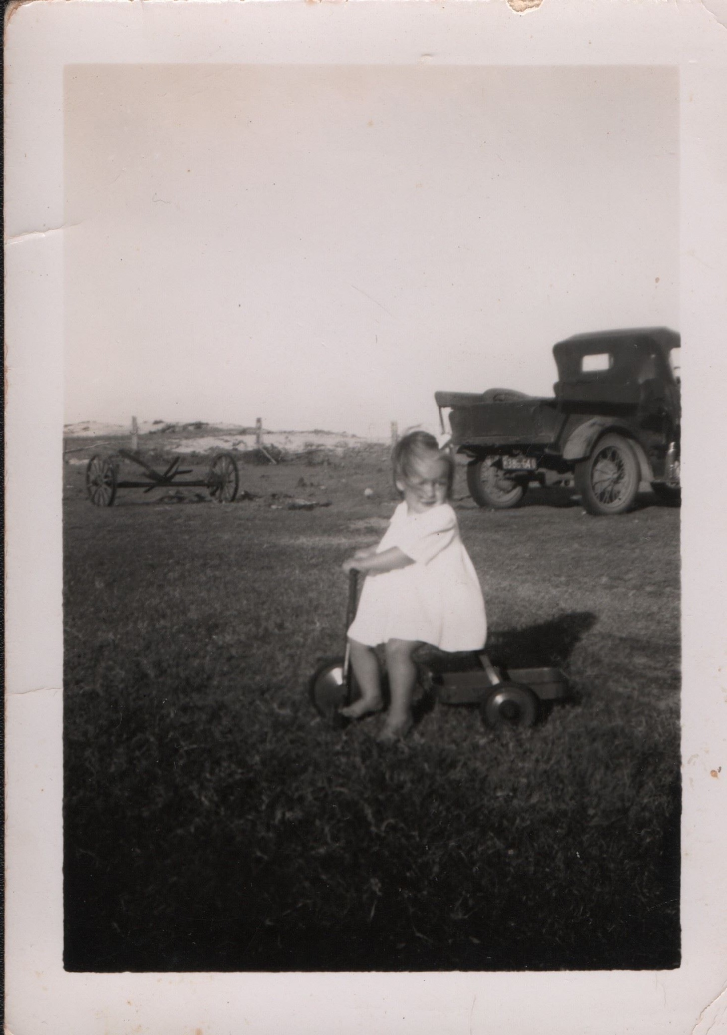 Penny Rose at Beachmere