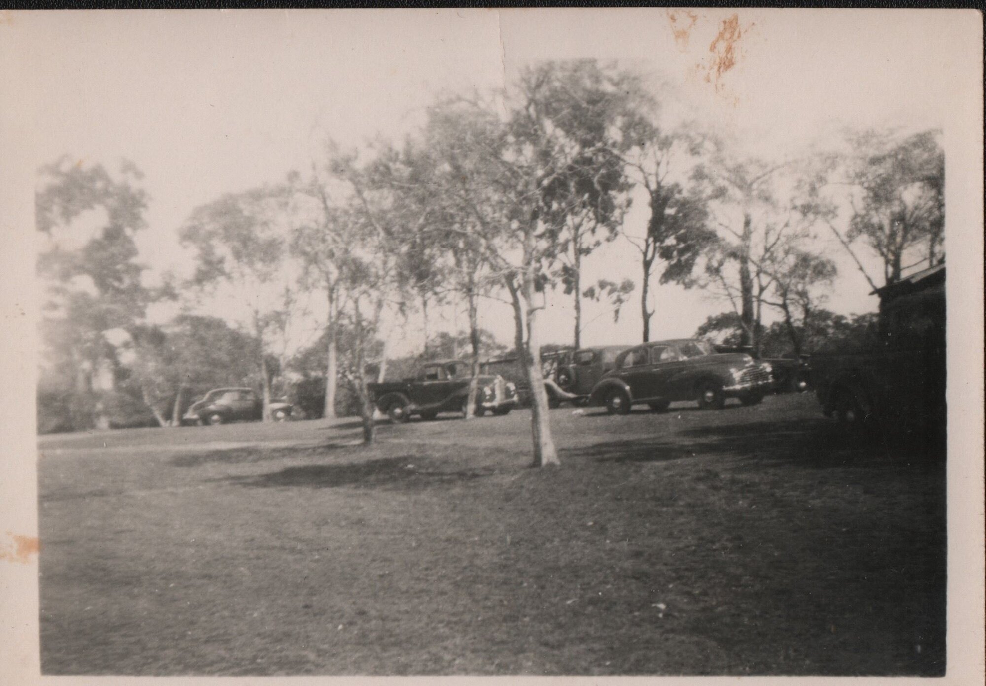 Parking under trees at Alex Rose boat hire