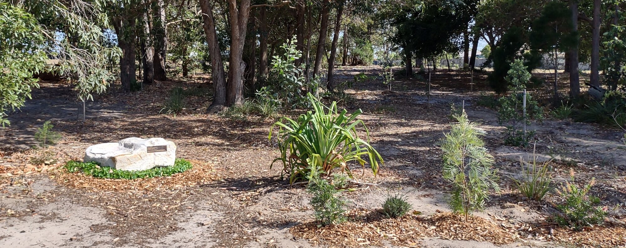 Bribie Island - Tree Planting by BIEPA