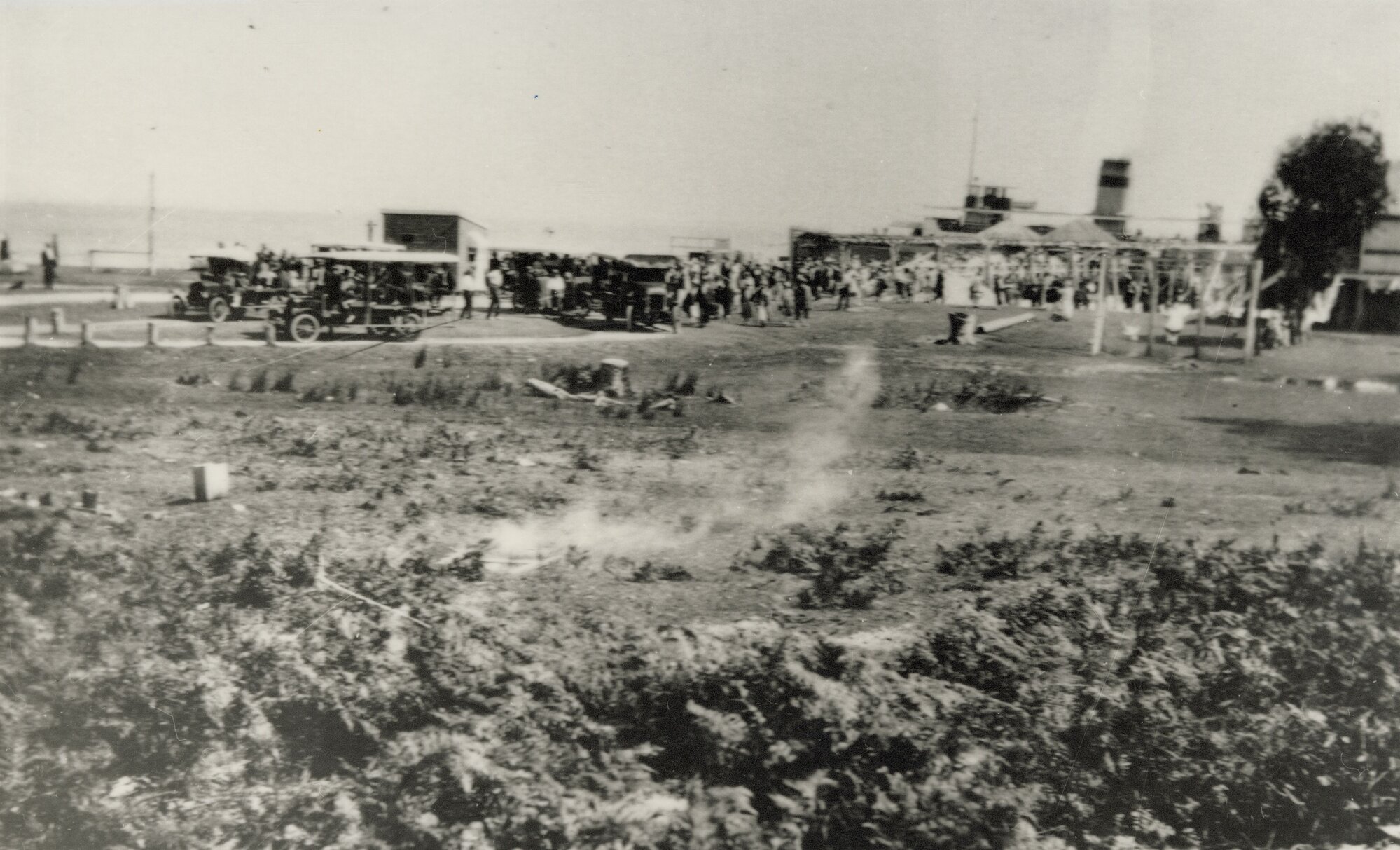 The first buses to be used on Bribie Island