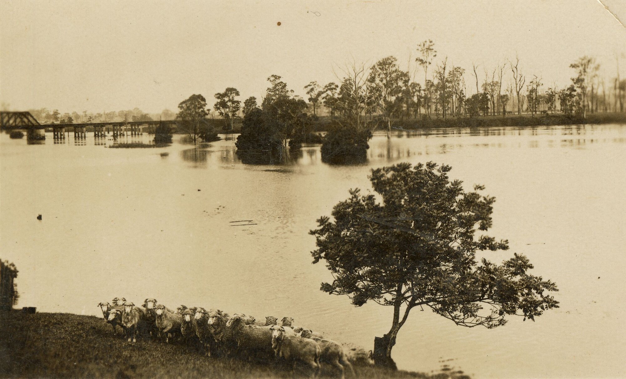 Caboolture River in 1931