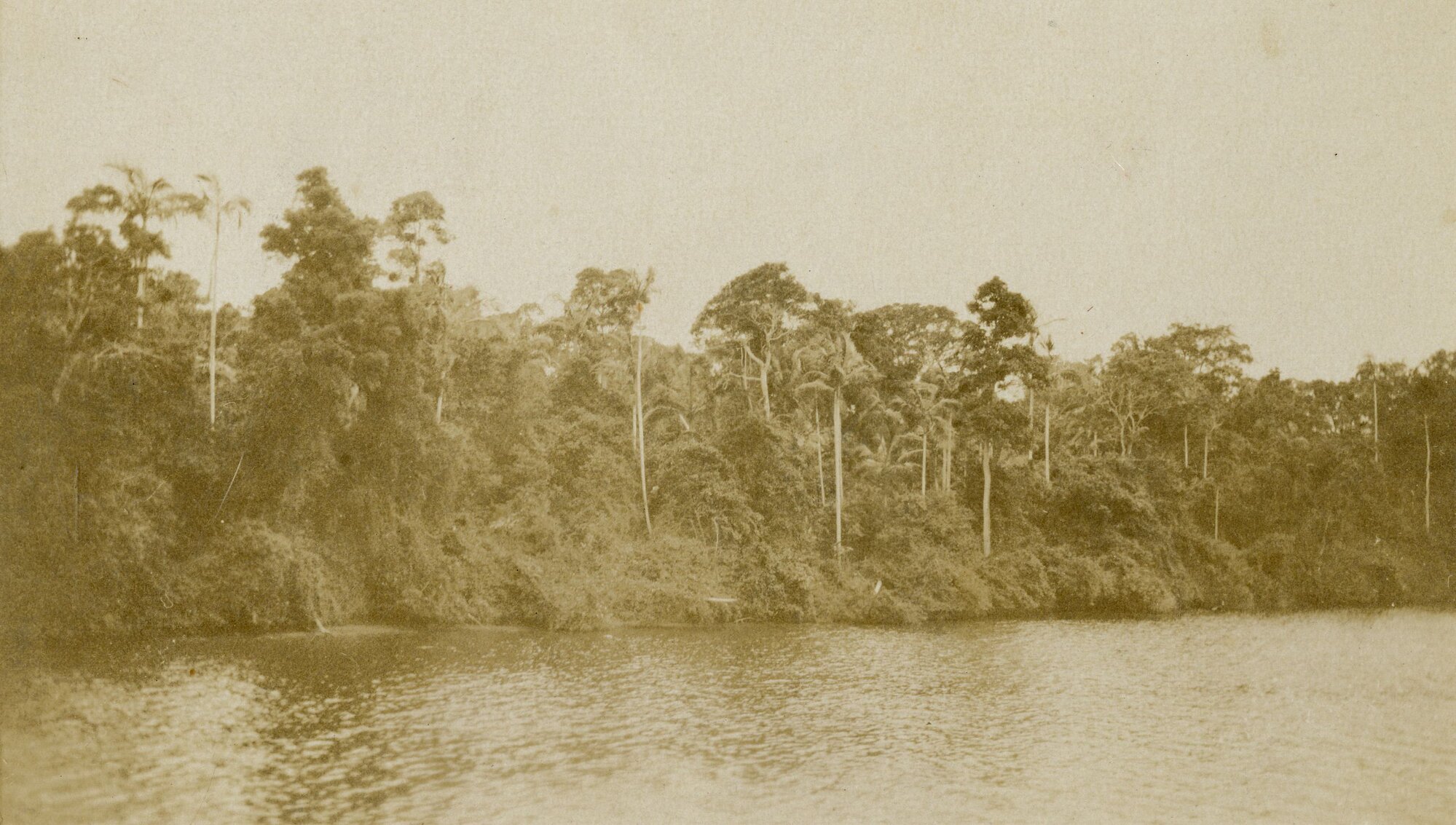 Wararba Creek in flood