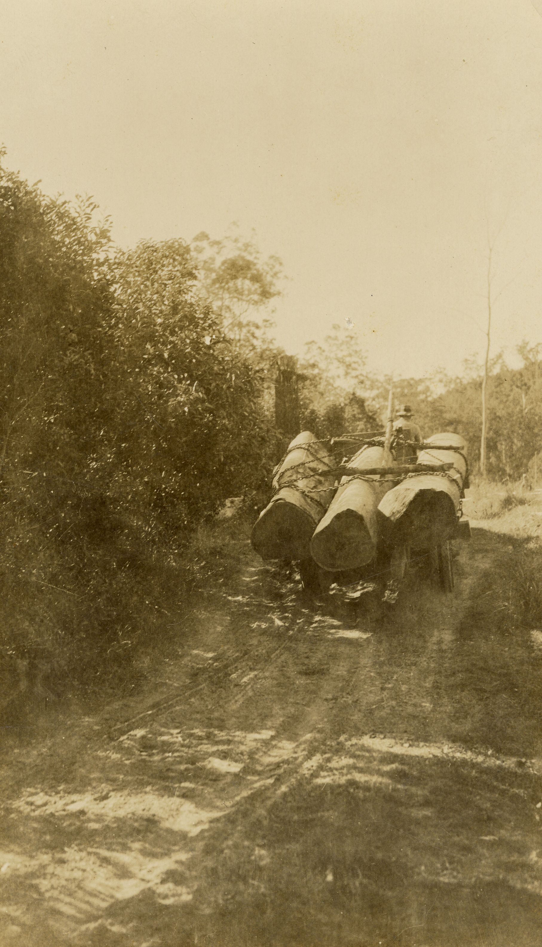 Unknown team and area, ca. 1920s