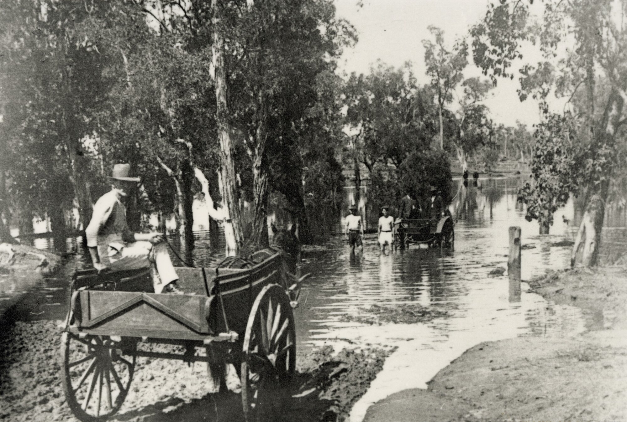 One Mile Creek at Woodford in flood