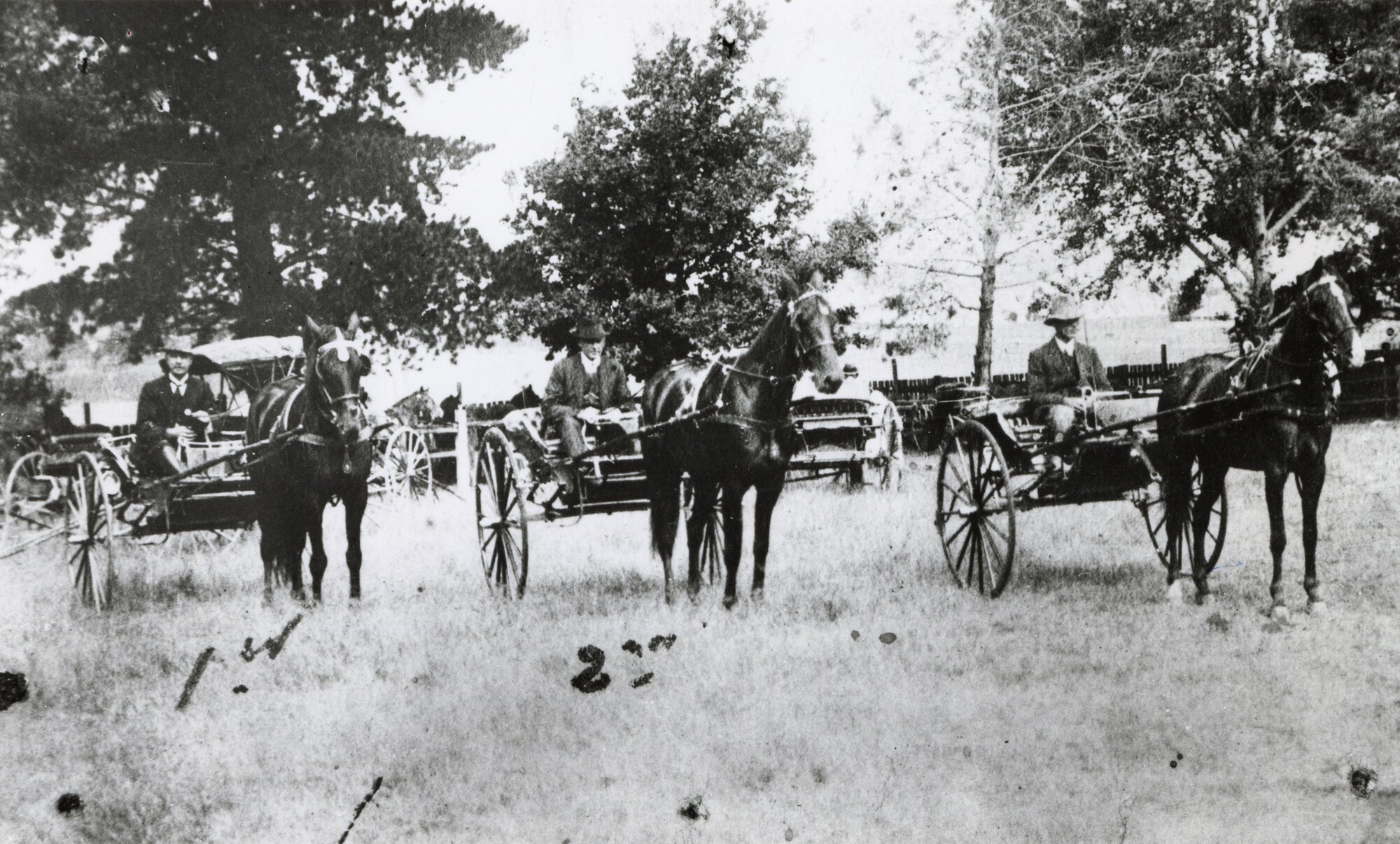 Some form of sulky races taken in the Woodford Area, ca. 1920