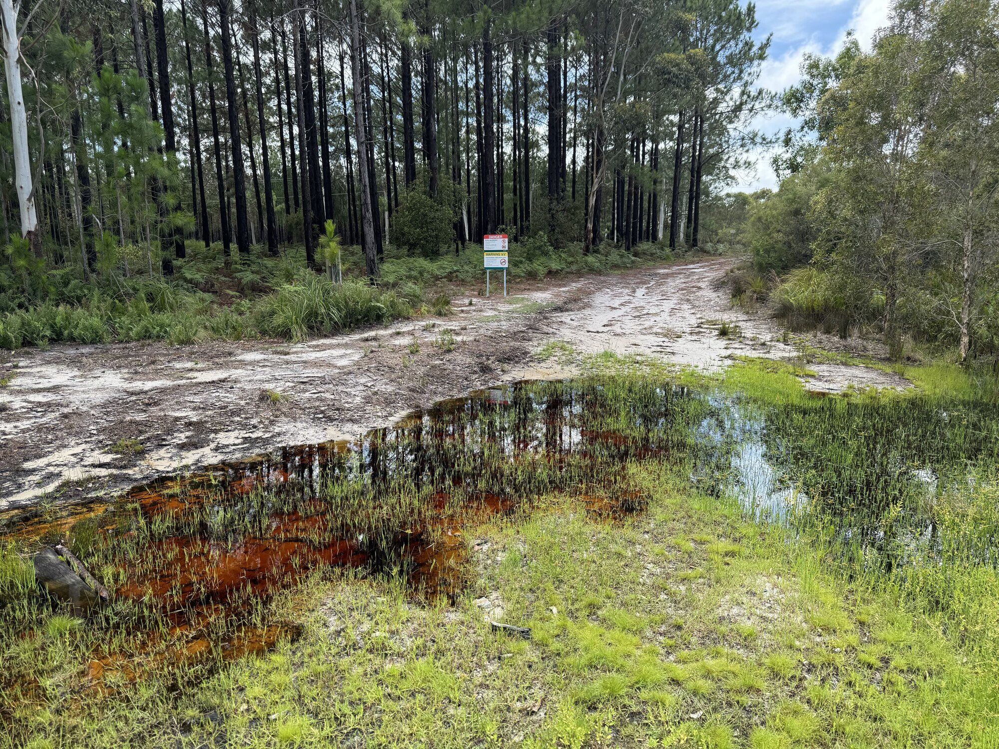 Banksia Beach - Access to National park