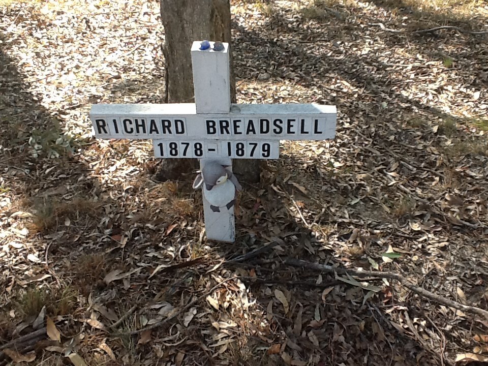 Richard Breadsell - 1878-1879