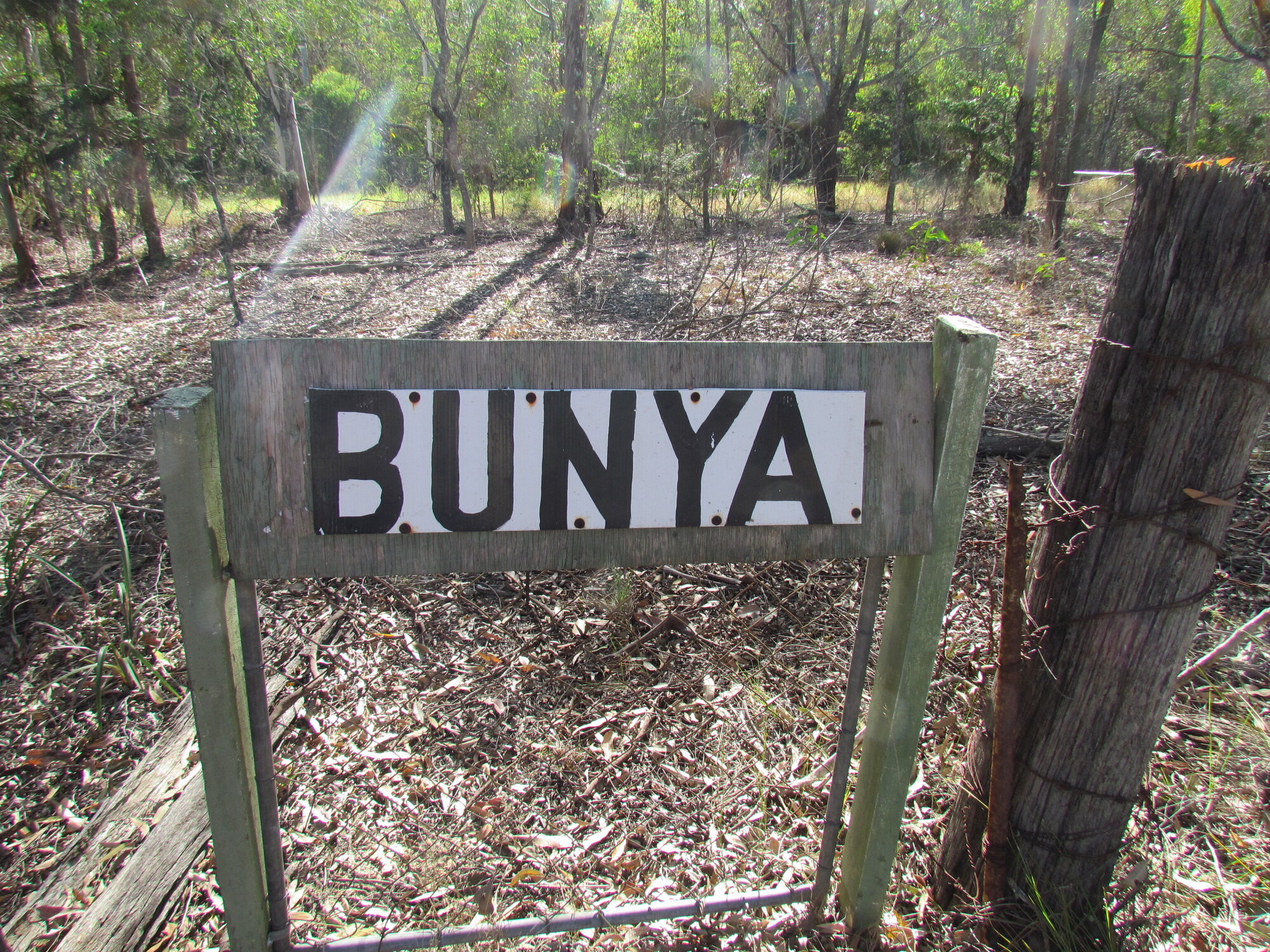 Wooden Bunya Sign