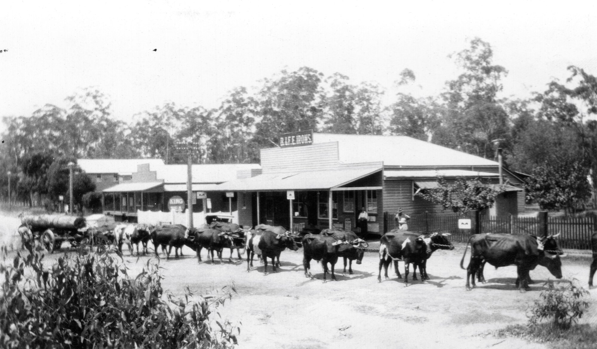 B. &amp; F. E. Irons Store - Wamuran