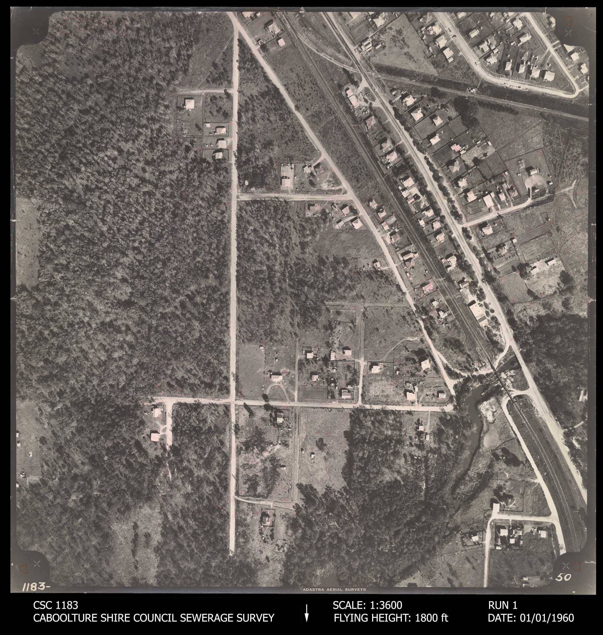Caboolture Shire Council Sewerage Survey Aerial Photograph, Run 1, No. 50