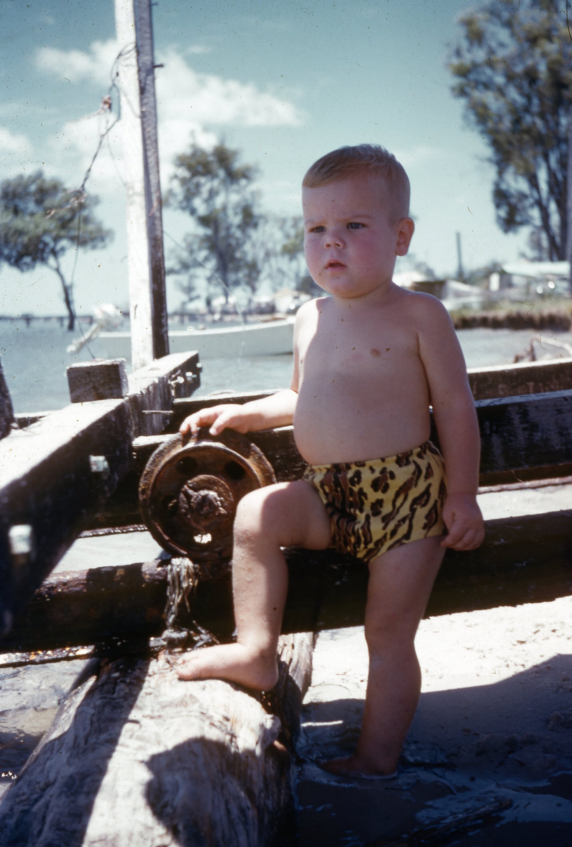 Toorbul - Paul Buckby