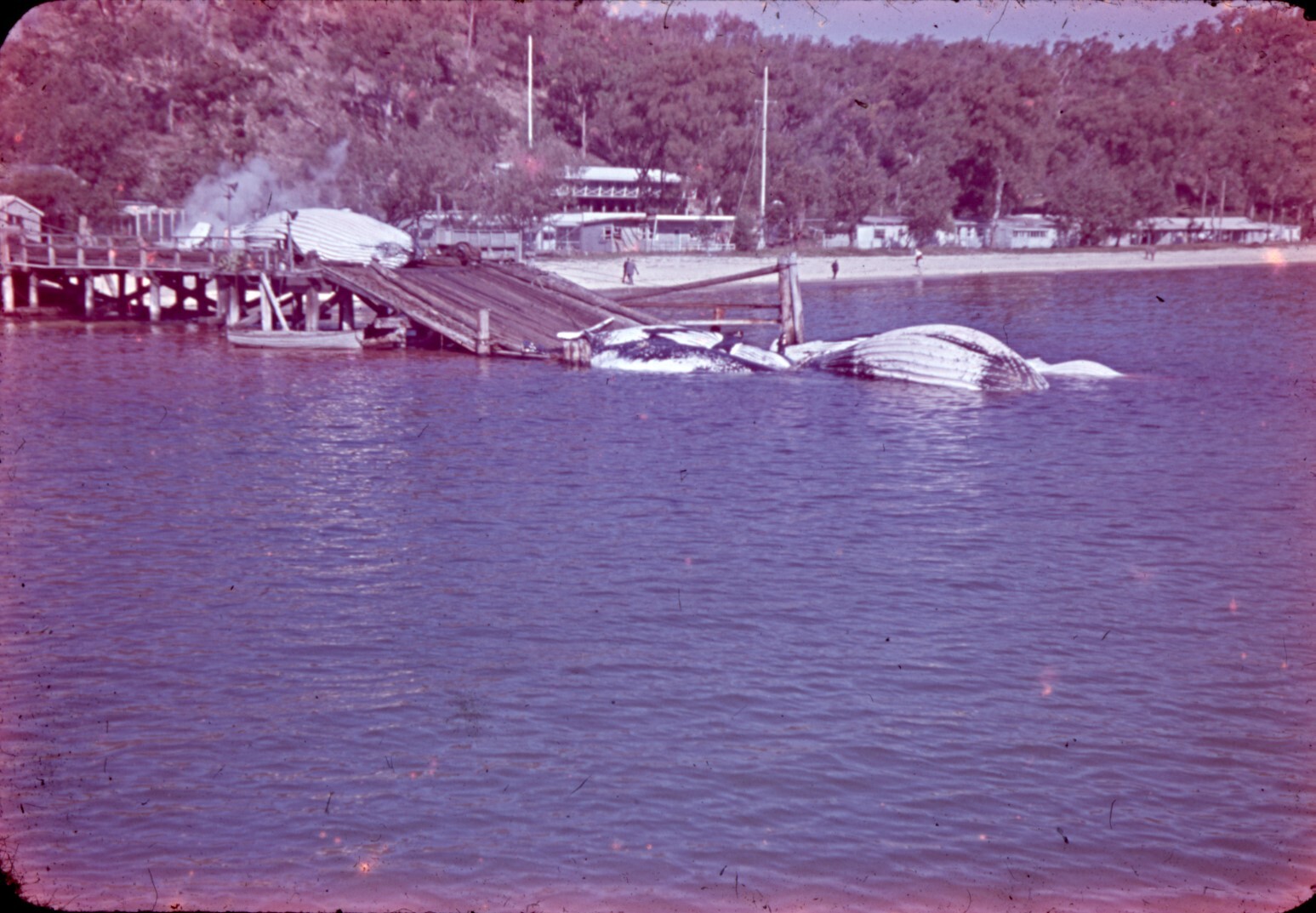 Whaling Station on Moreton Island