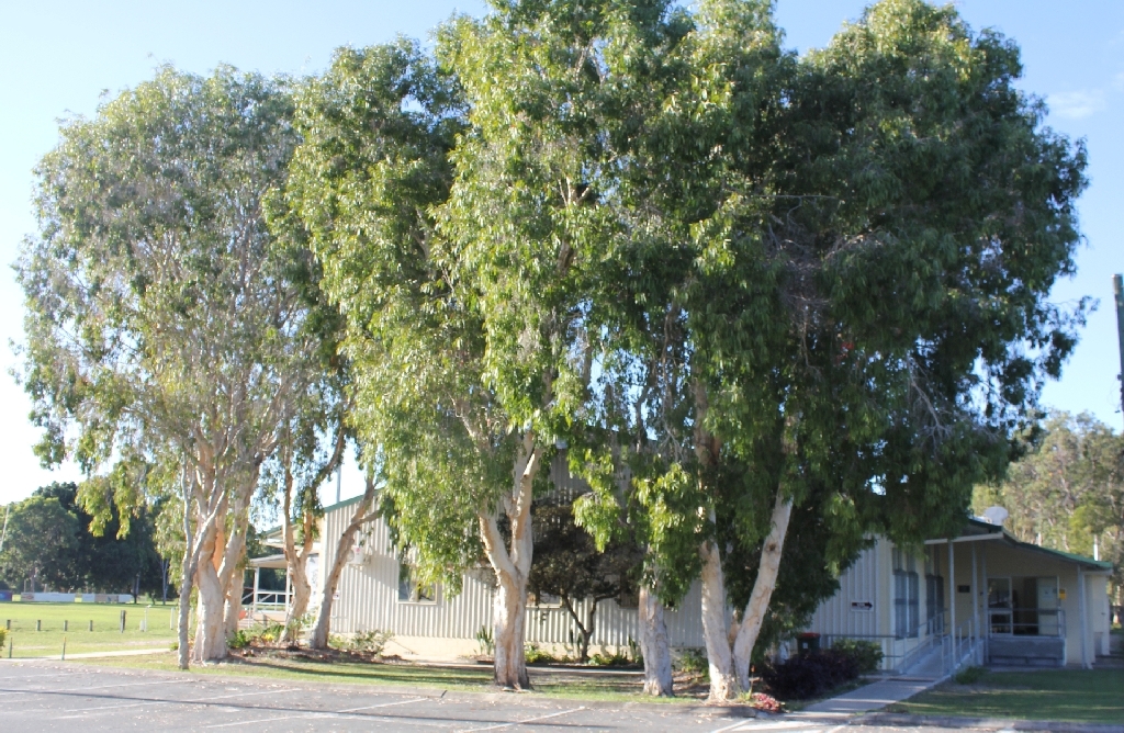 Bribie U3A - Before Extensions