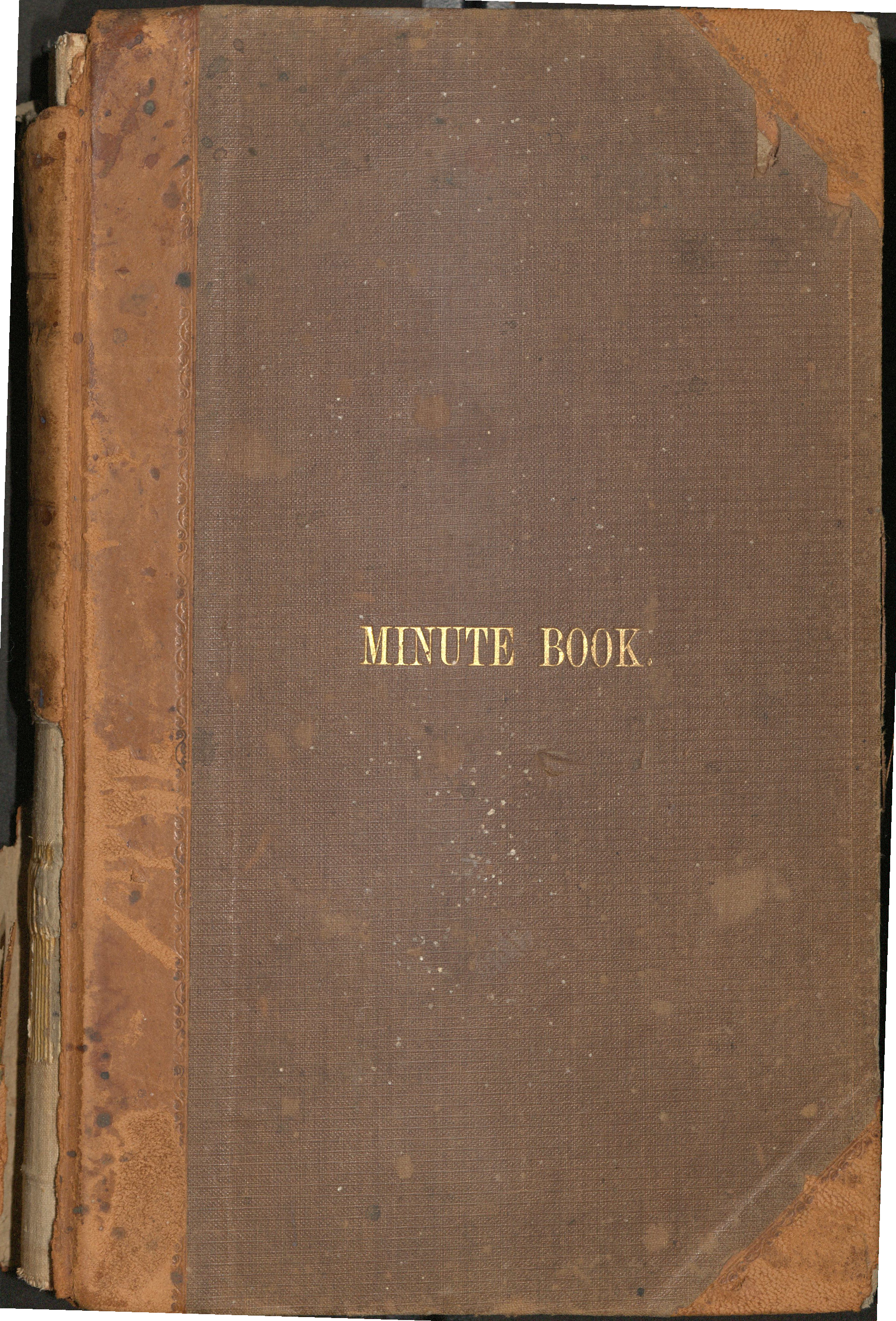Caboolture Divisional Board Minutes - 11 February 1880 - 30 November 1880