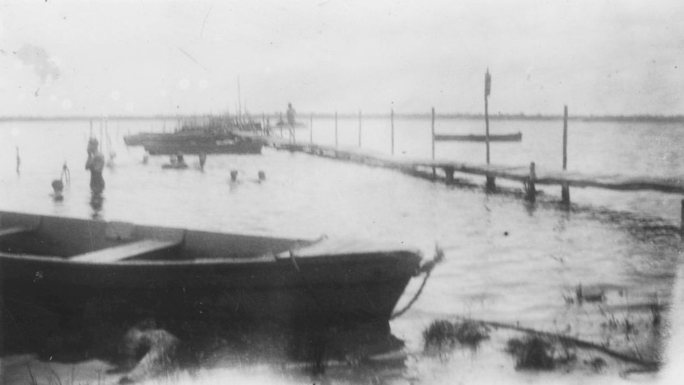 Swimming at Donnybrook