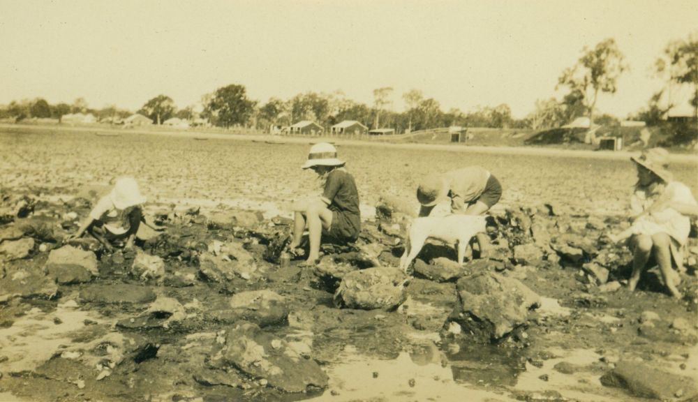 Wallin family collecting oysters