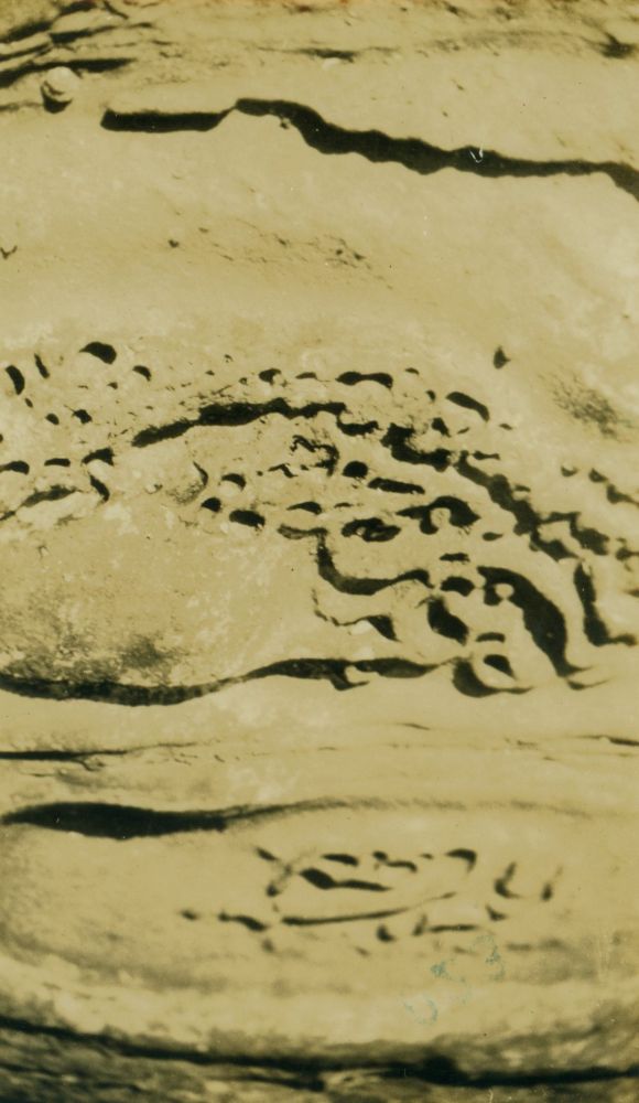 Rock formation in front of the Department of Fisheries Complex
