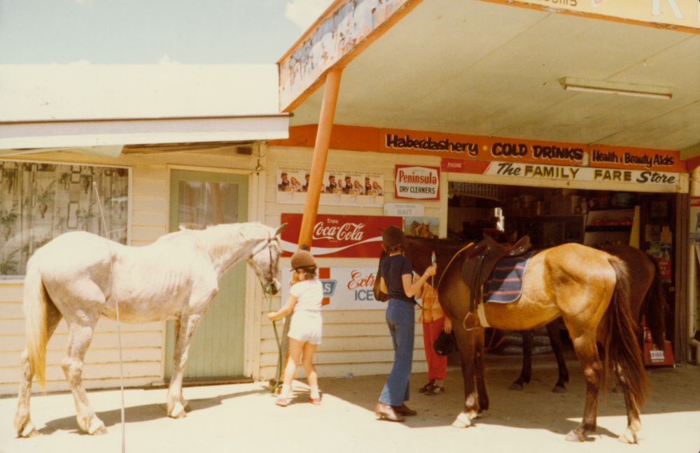 Horses outside the Deception Bay Kiosk