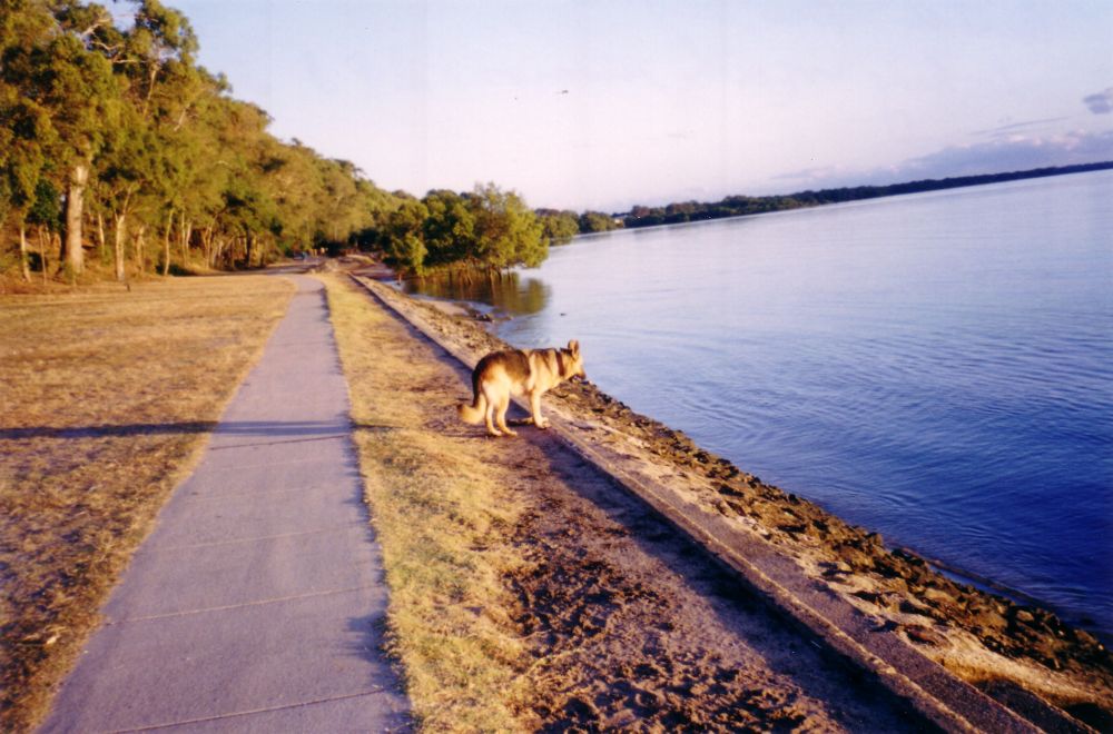 Foreshore in centre of Deception Bay