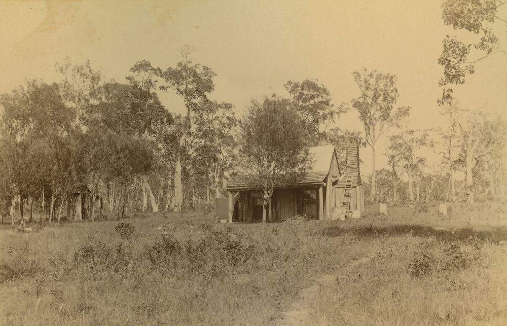 Small hut surrounded by trees