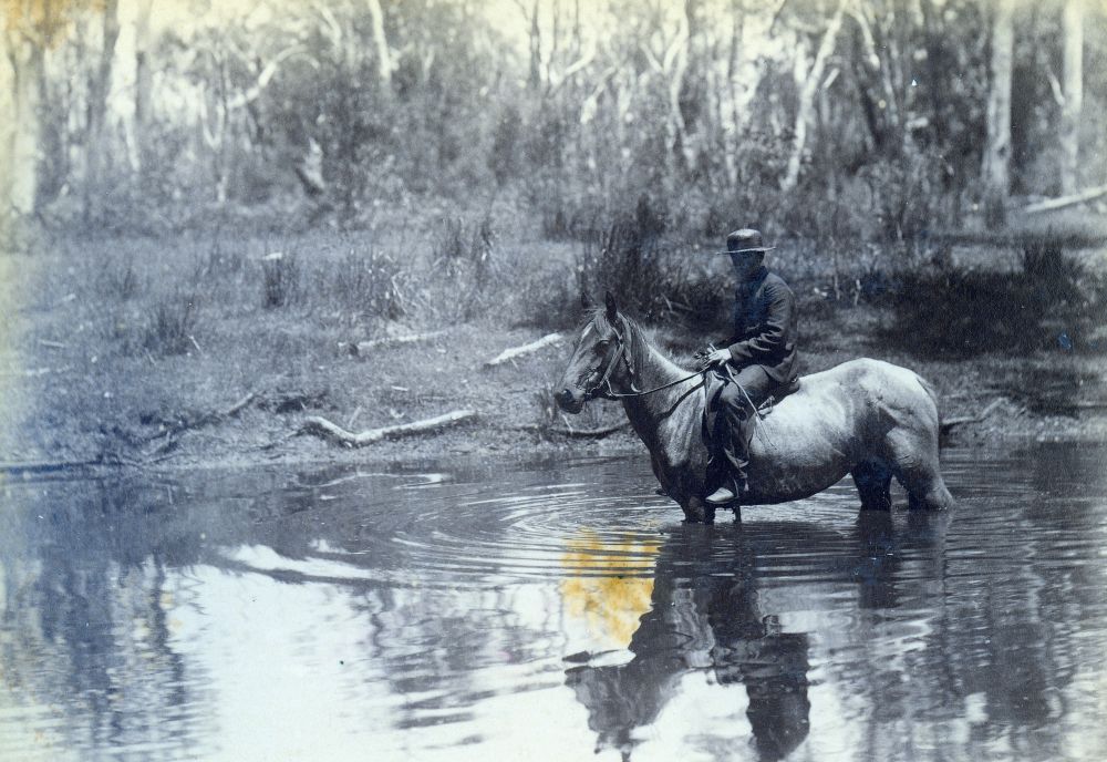 Louis Oldfield Bancroft on a horse in a creek, ca. 1895
