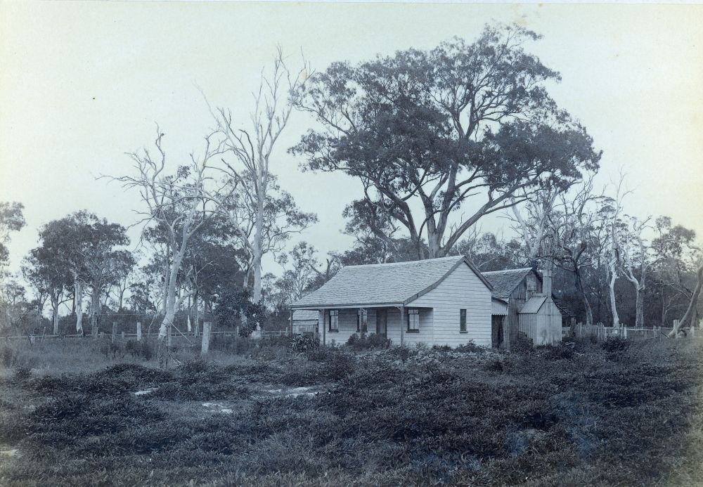 Small house with buildings and fenced paddocks