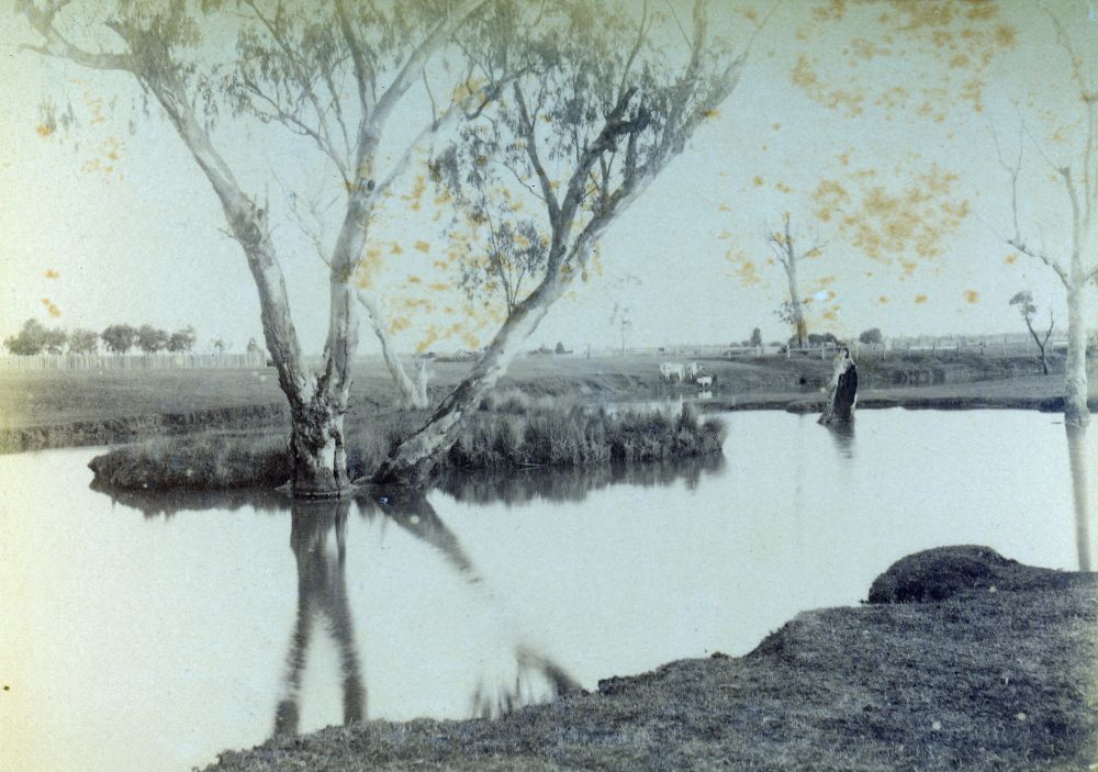 View of Dalby
