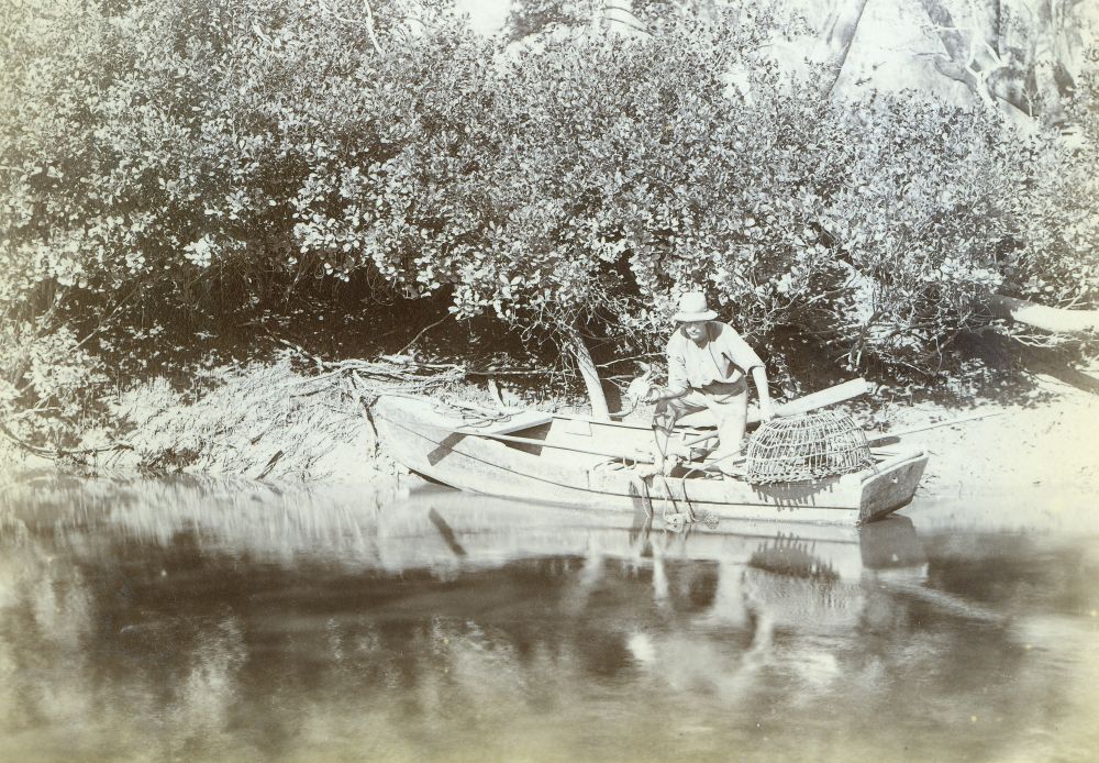 Crab-getting in Burpengary Creek, ca. 1895